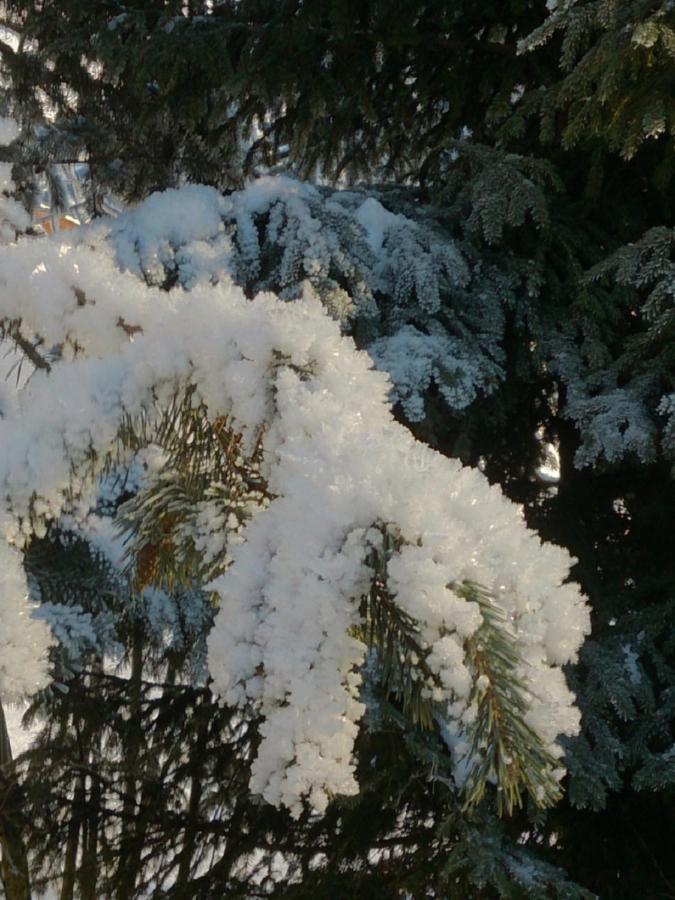Appartamento Quellenhof D04 Davos Esterno foto