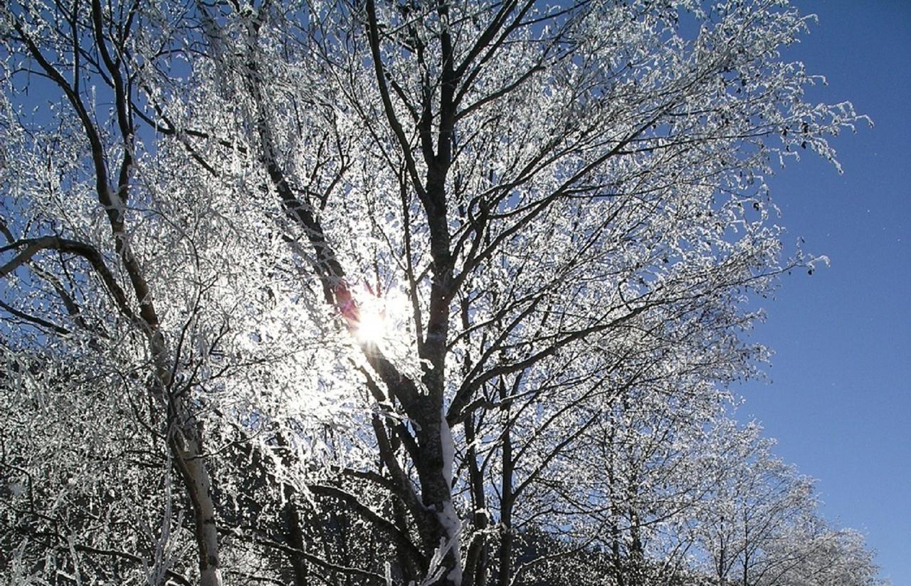Appartamento Quellenhof D04 Davos Esterno foto